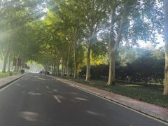 -河南省黄河迎宾馆