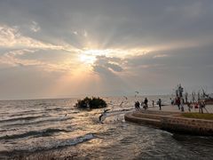 -呈贡滇池生态湿地公园