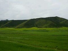-扁都口生态休闲旅游区