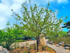 -北京西山国家森林公园