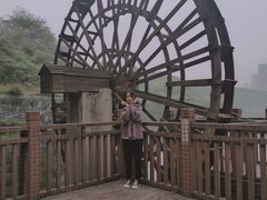 -重庆彩云湖湿地公园