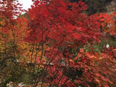 -丹东天桥沟景区