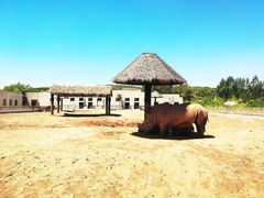 -鄂尔多斯野生动物园