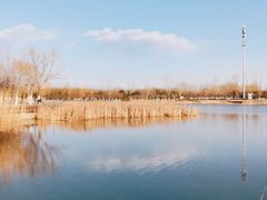 -永定河休闲森林公园