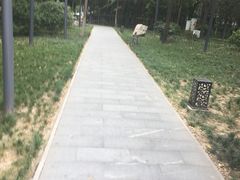 -唐城墙遗址公园