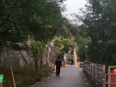 -福道