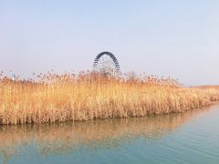 -太湖湖滨国家湿地公园-停车场