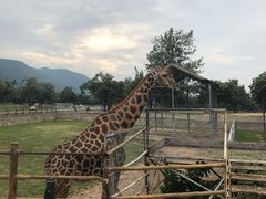 -西安秦岭野生动物园