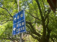 -山东水饺(南坪新街店)