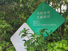 -东方绿舟景区