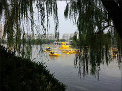 android_upload_pic-紫竹院公园冰场