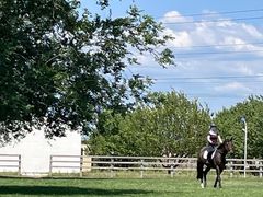 -北京群众马术培训基地