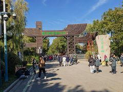 -溱湖国家湿地公园