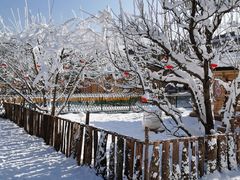 -采薇庄园四季滑雪场