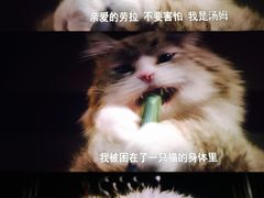 -英皇UA电影城(虹桥天地店)