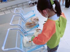 -怪兽屋·羊驼·猫咖·狗咖(俊华广场店)