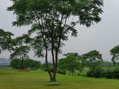 -盘龙城国家考古遗址公园