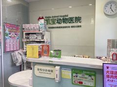 -悦宠凯宝动物医院·牙科·皮肤科(朝阳北路店)