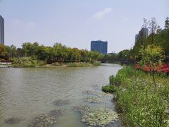 -南翔镇银翔湖公园
