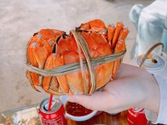 -水岸居湖景农家乐·阳澄湖大闸蟹