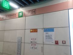 -大望路(地铁站)