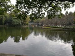 -晓港公园
