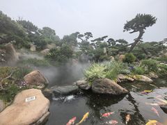 -罗红摄影艺术馆