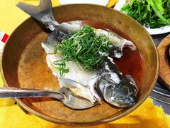 -洞密园美食城(富华路店)