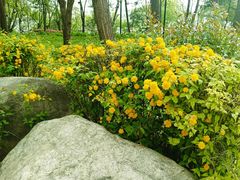 -唐城墙遗址公园