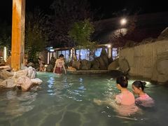 -汉拿山温泉度假酒店
