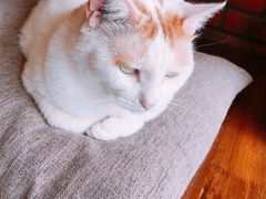 景观位-B.O.M波姆烘焙(凤凰街店)