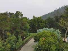 -狐尾山公园