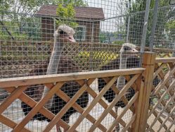 -萌宠亲子动物乐园(槐房万达店)