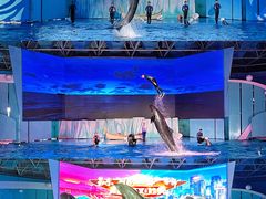 -海合安青岛极地海洋公园