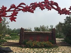 -武清南湖绿博园