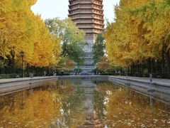 -玲珑塔公园