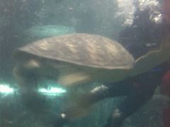 -洛阳龙门海洋馆