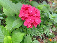 -杭州花家山庄