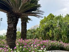 -三亚鹿回头高尔夫球会-停车场