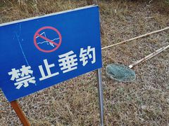 -滨江生态公园