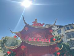 -越秀西湖花市(广州城市广场花卉店)