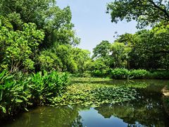 -西溪国家湿地公园