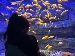 -多彩贵州城极地海洋世界