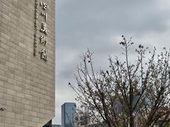 -四川美术馆