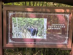 -秦岭风景区