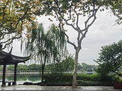 -西湖游船