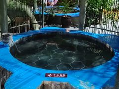 -兴芮温泉度假区