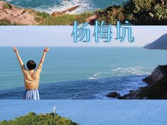 -杨梅坑