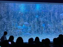 -台州海洋世界