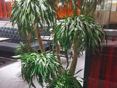 -风渡嘉荷西餐厅 Windy City(西三旗金隅店)
